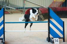 Jean-Noël BRIFFAUD - JNB HOTO