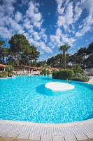 Sandrine GALLÉ - COM UNE CREVETTE - SG PHOTOGRAPHIE