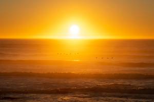 Roland ADOLPHE - Photographie d'un clic